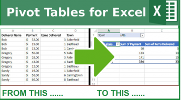 Pivot Table for Microsoft Excel 2016 & 365 Users: Basic to Intermediate Workshop (LIVE Stream)