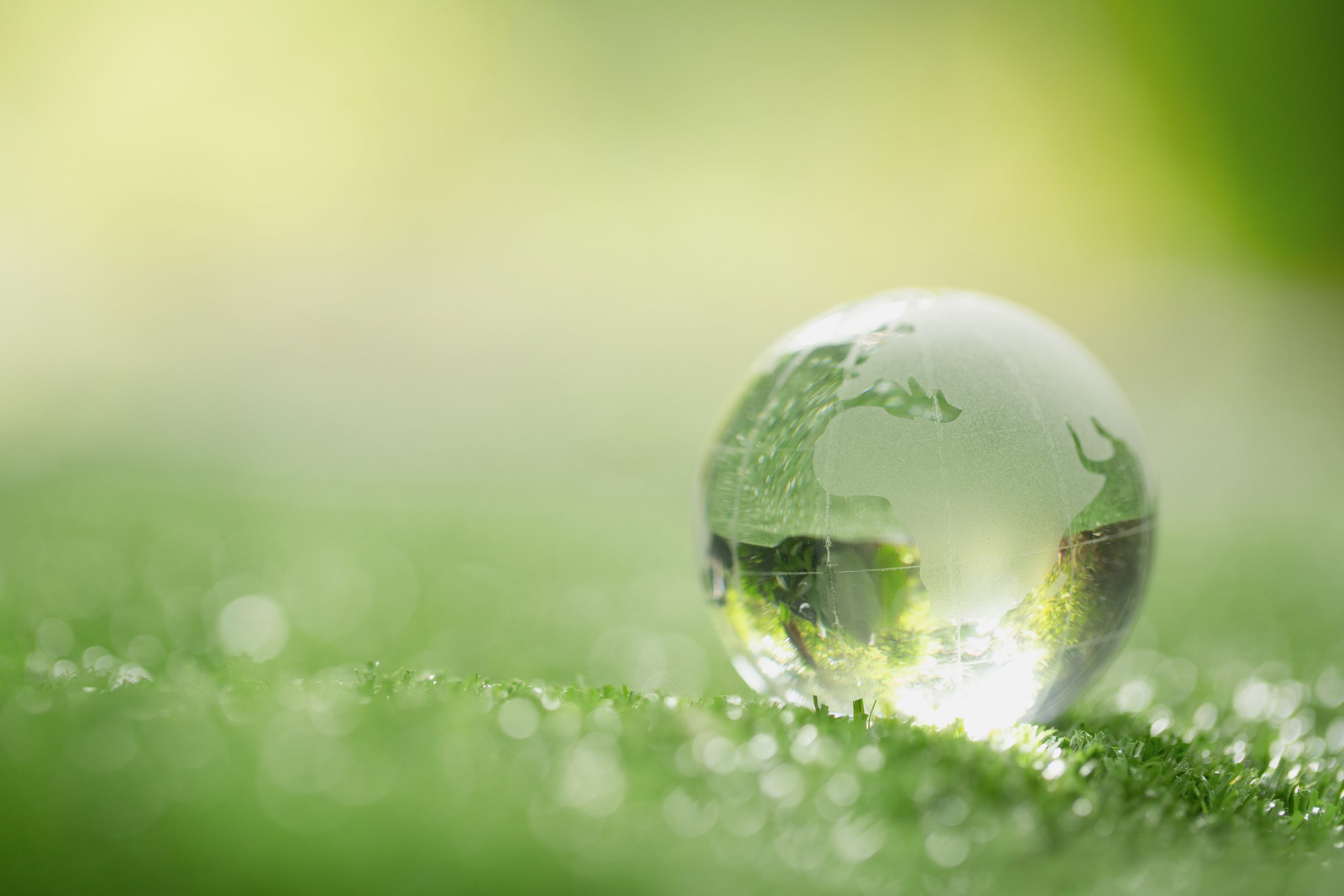 Empowering Organisations to Build Creative Problem-Solving Skills