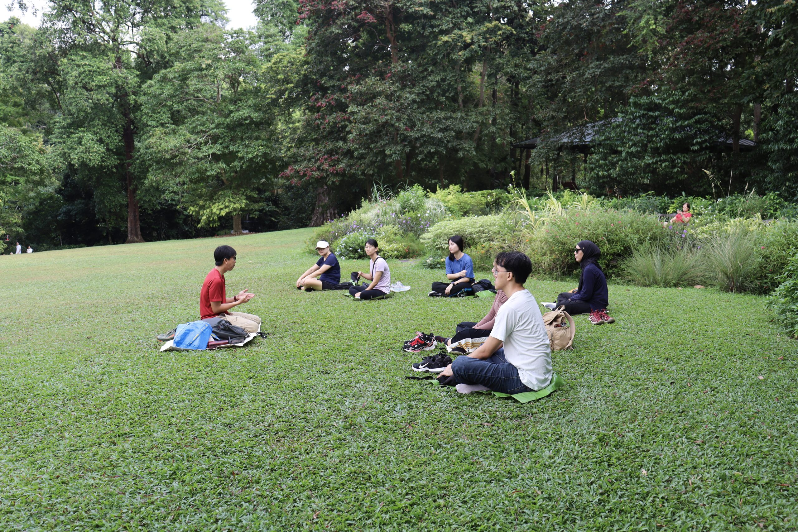 Forest Bathing Workshop