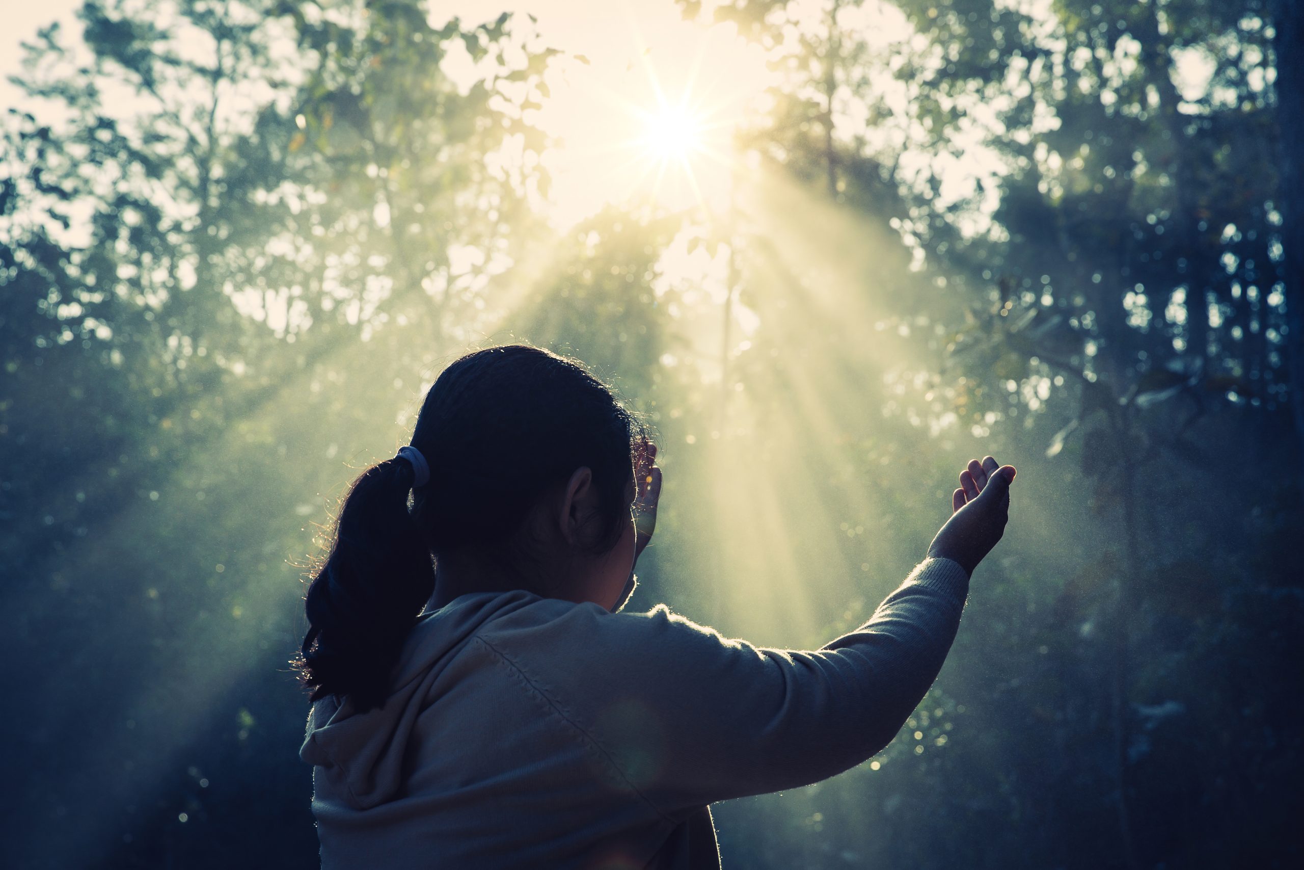 Manifestation Mastery